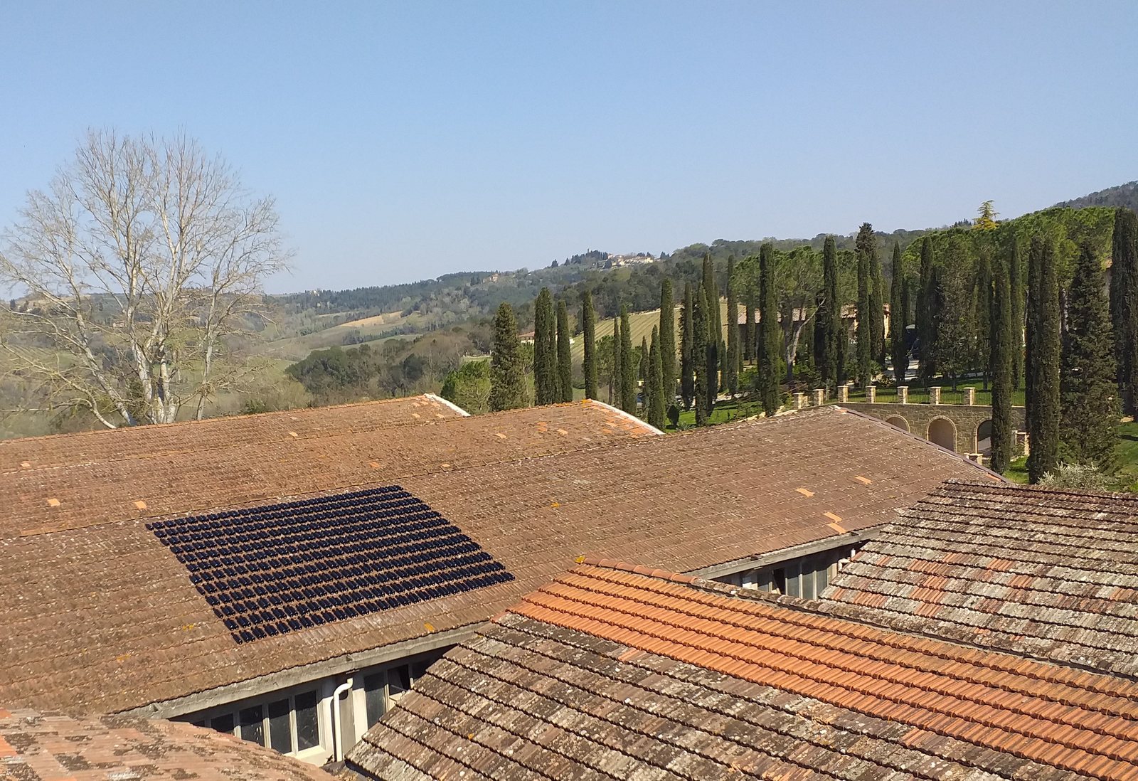 Il Tegolato — The Wine